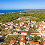 Apartment Dalmatina Mit Pool Fuer 4-1 Personen By Interhome Zadar