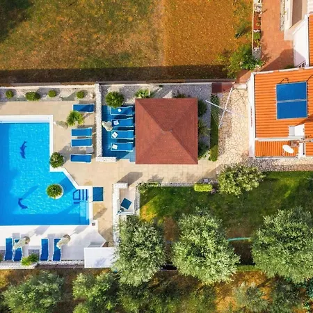 Dalmatina Mit Pool Fuer 4-1 Personen By Interhome Lägenhet Zadar